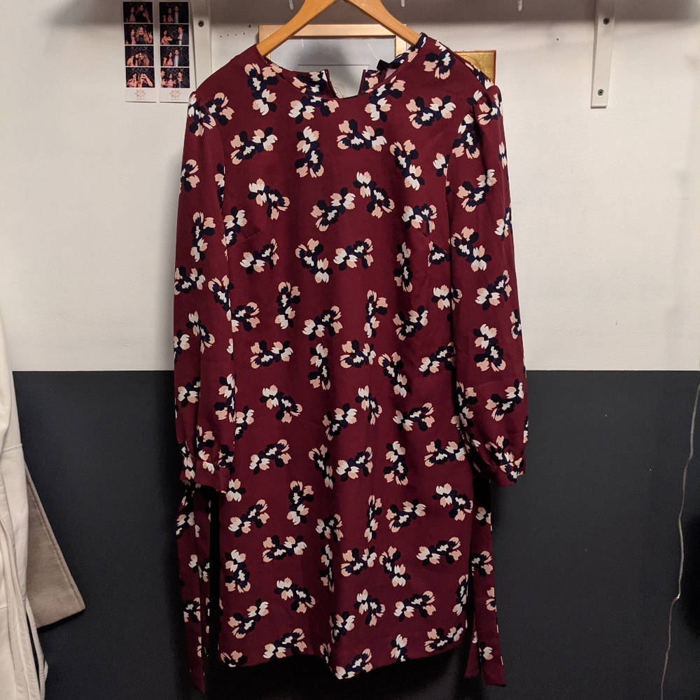 Banana Republic Sleeved Dress